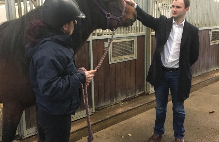 Horseworld Luke Hall MP