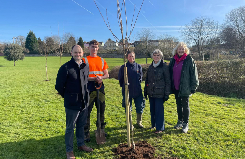 Thornbury Cherry Trees