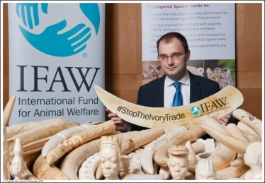 Ivory ban