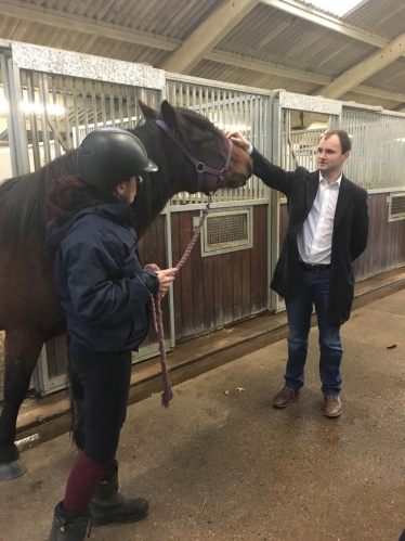 Horseworld Luke Hall MP