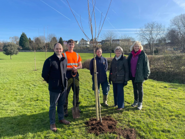 Thornbury Cherry Trees